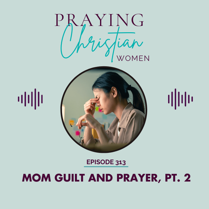 313 Mom Guilt and Prayer Part 2 - Christian Books Today