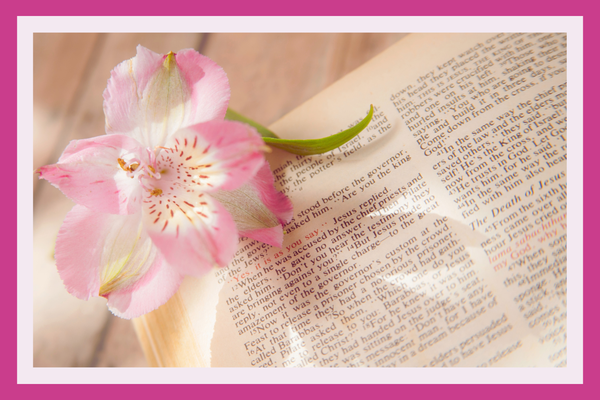 Christian Books Today graphic showing an open illustrated Bible, coffee and the words Best Bibles for Christian Women.