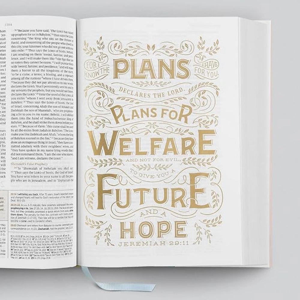Open ESV Women's Study Bible displaying an illustrated Jeremiah 29:11 verse beside Scripture text.