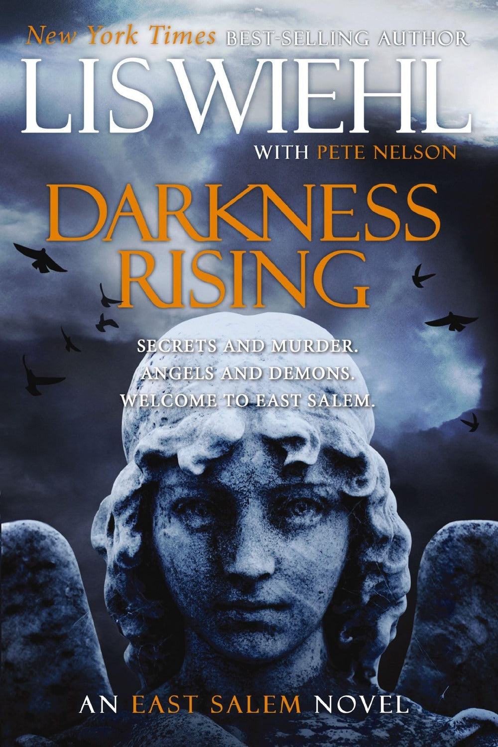 Darkness Rising by Lis Wiehl, Pete Nelson