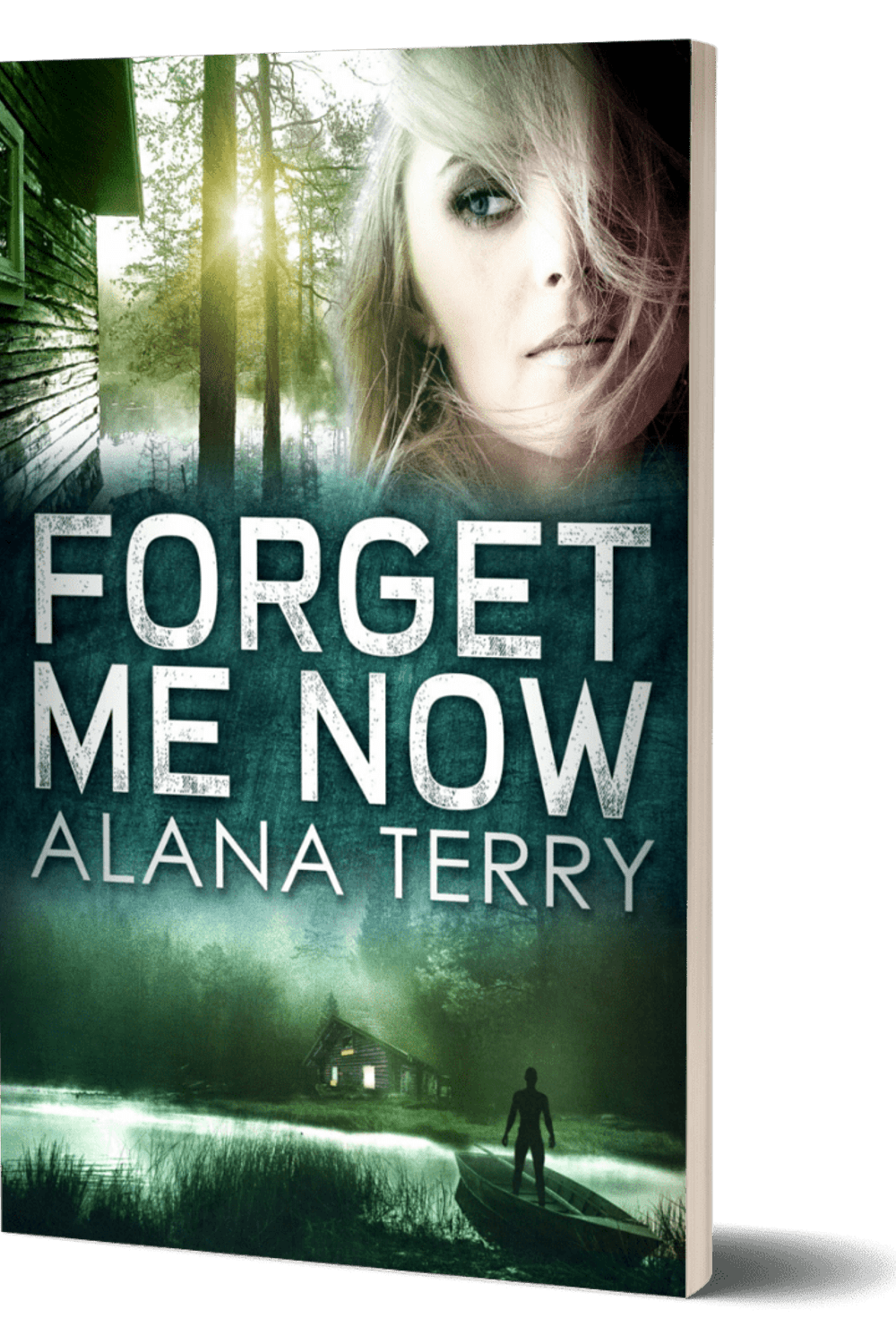 Forget Me Now Alana Terry