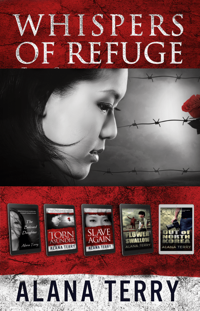 North Korean Christian Fiction Bundle paperback Alana Terry