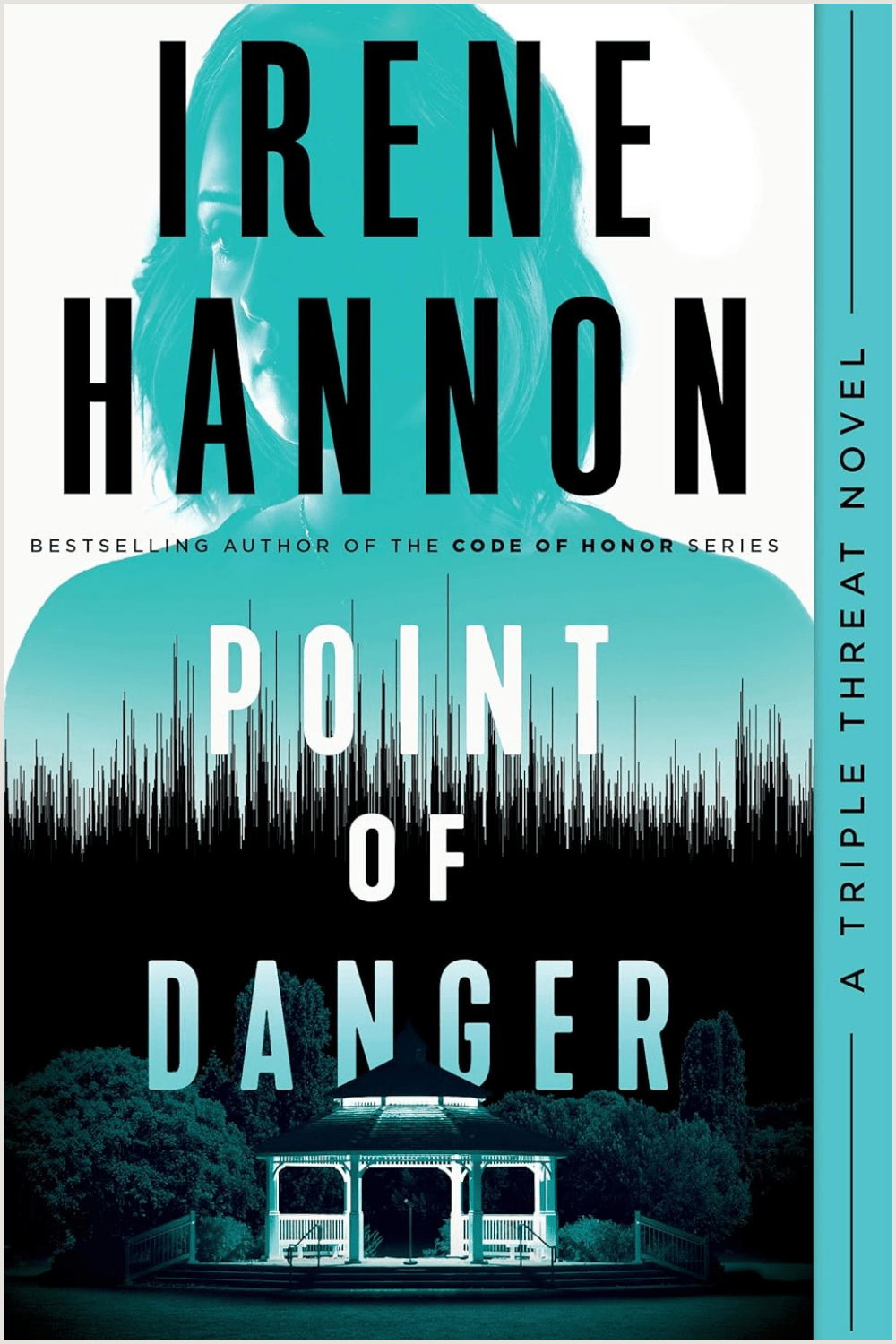 Point of Danger Irene Hannon