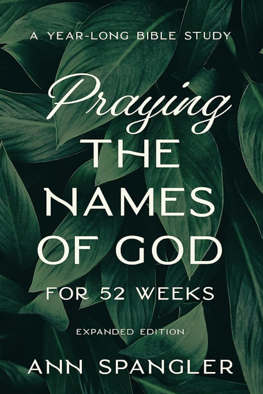 Praying the Names of God: Year-Long Bible Study Ann Spangler