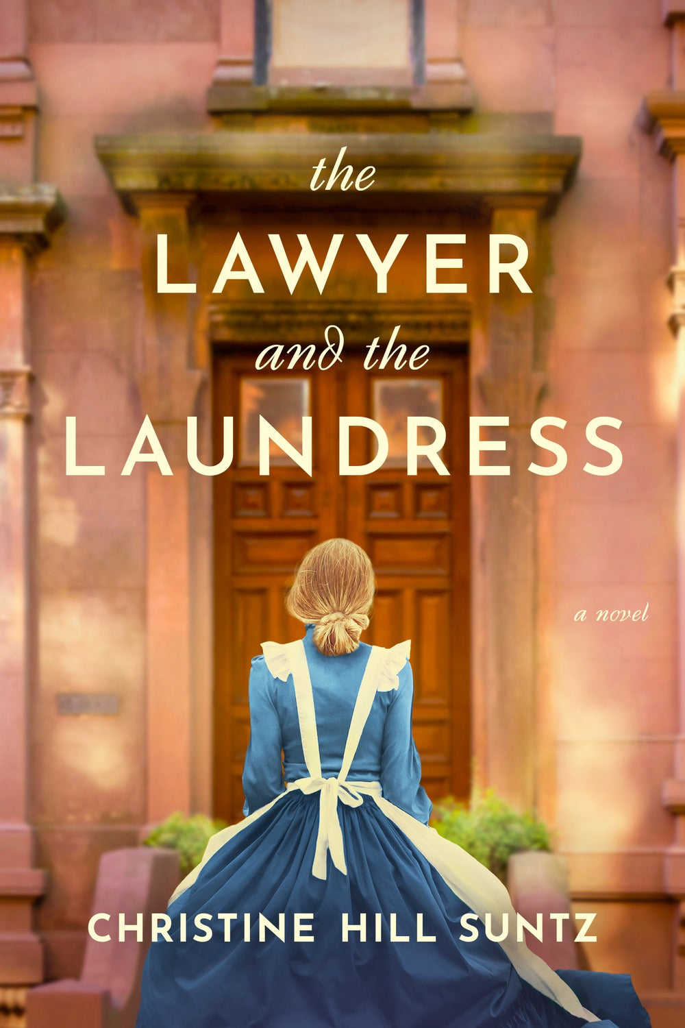 Book cover for The Lawyer and the Laundress by Christine Hill Suntz