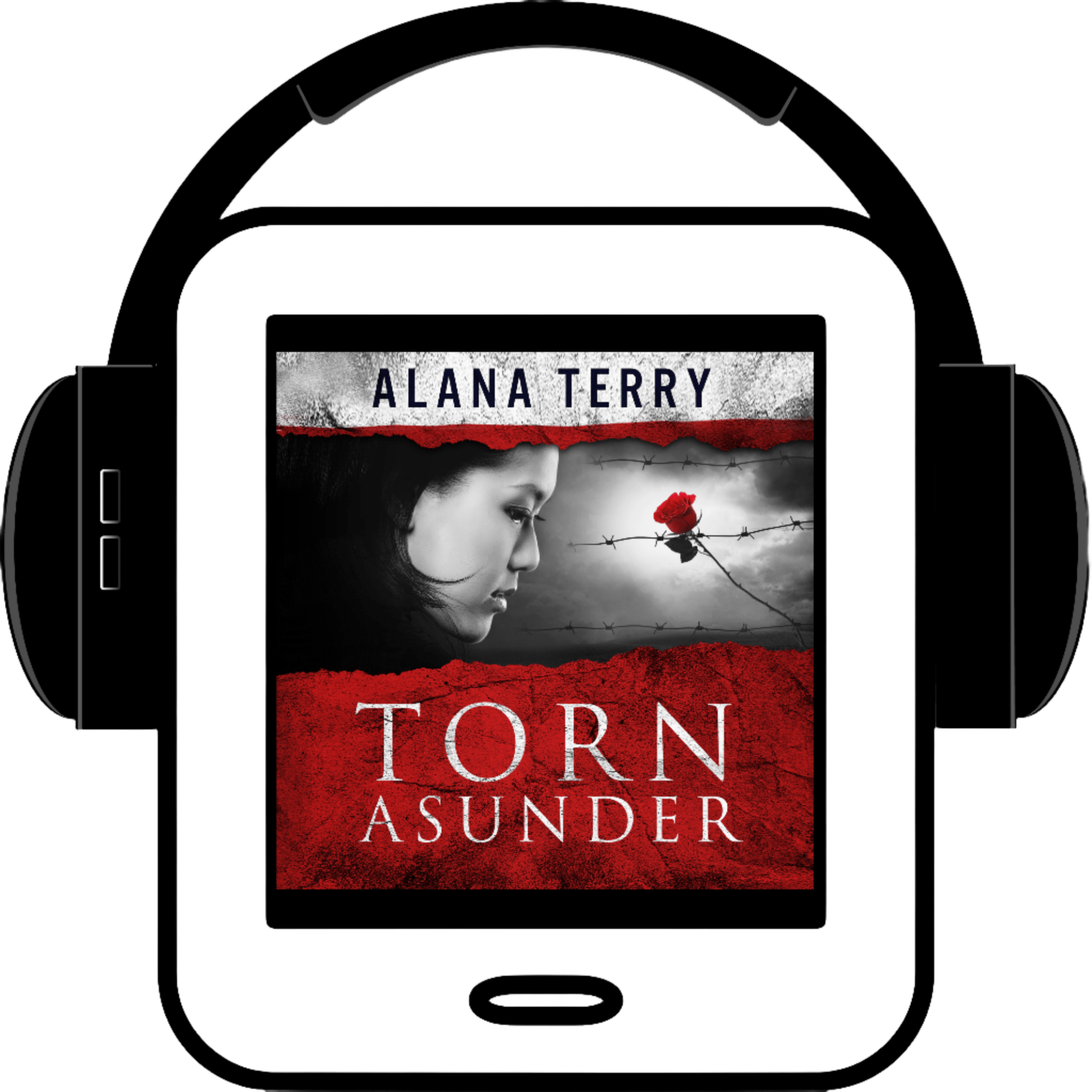Torn Asunder audiobook Alana Terry
