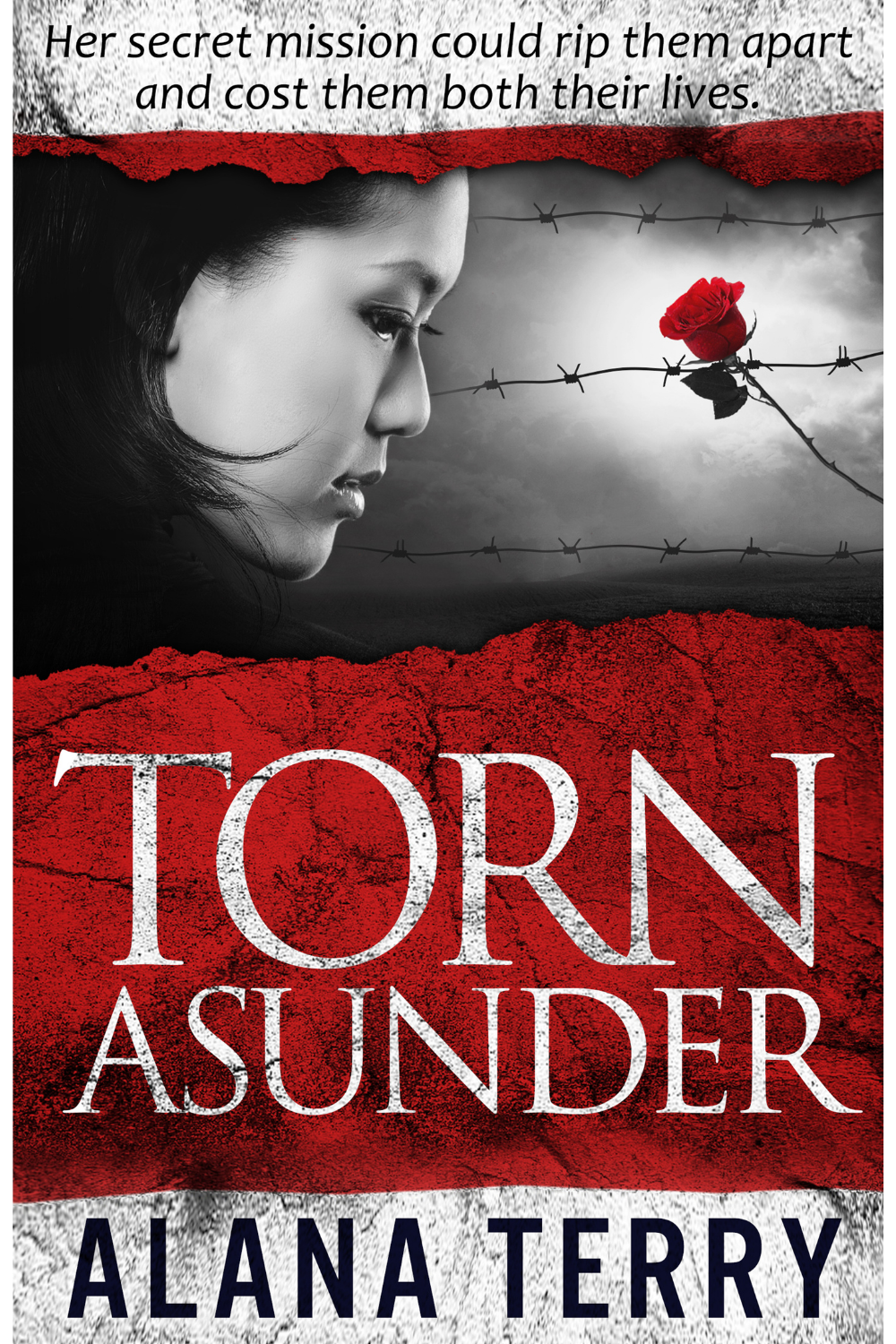 Torn Asunder (eBook)