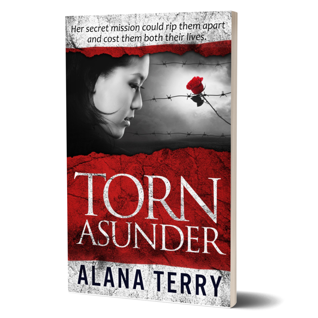 Torn Asunder (paperback)