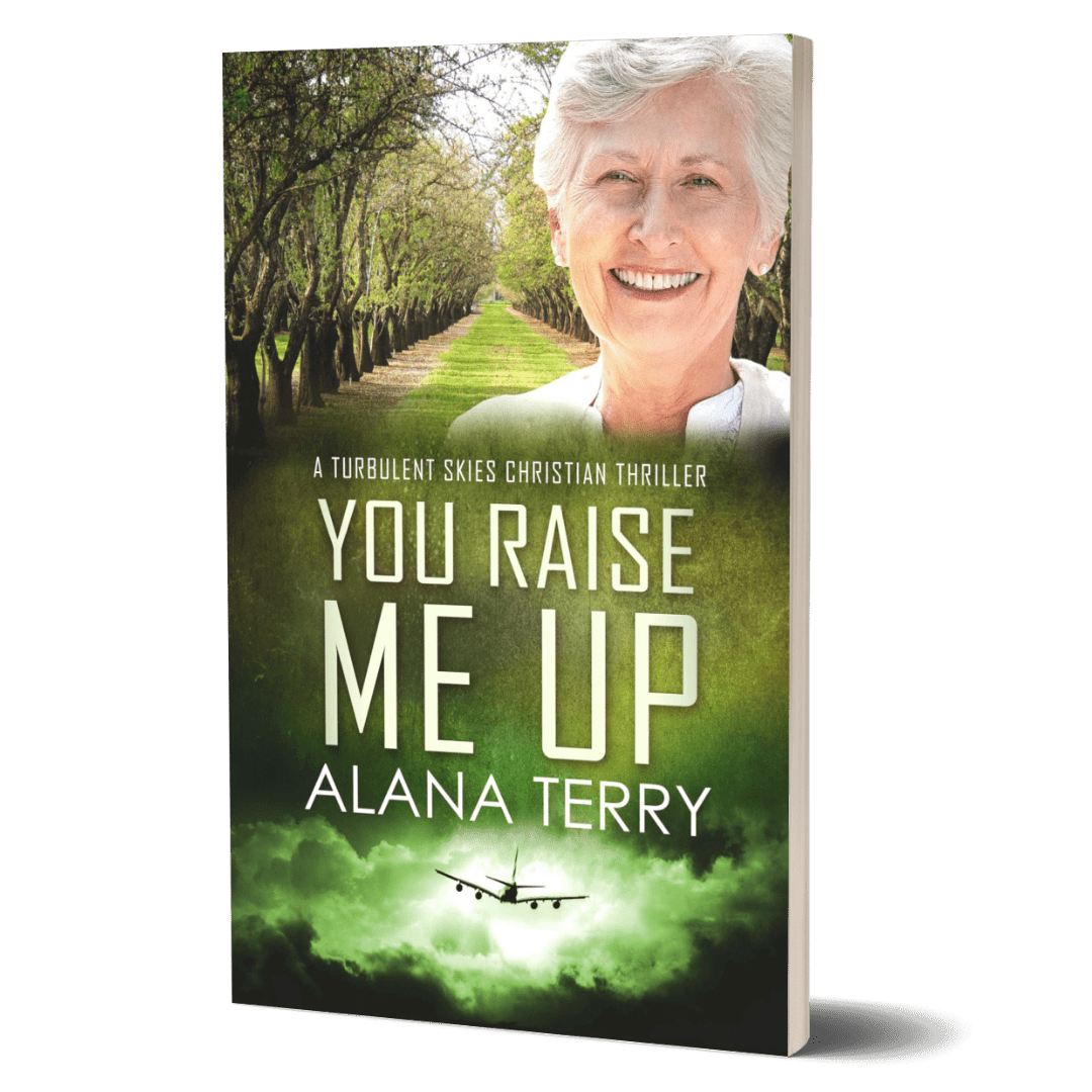 You Raise Me Up: Turbulent Skies #6 Alana Terry