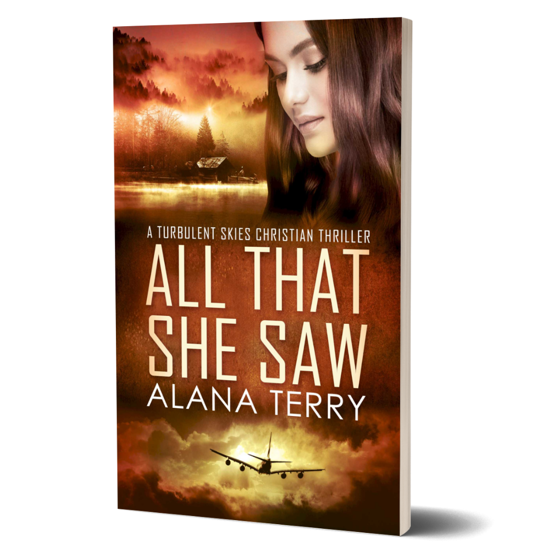 All That She Saw: Turbulent Skies #4 (paperback)