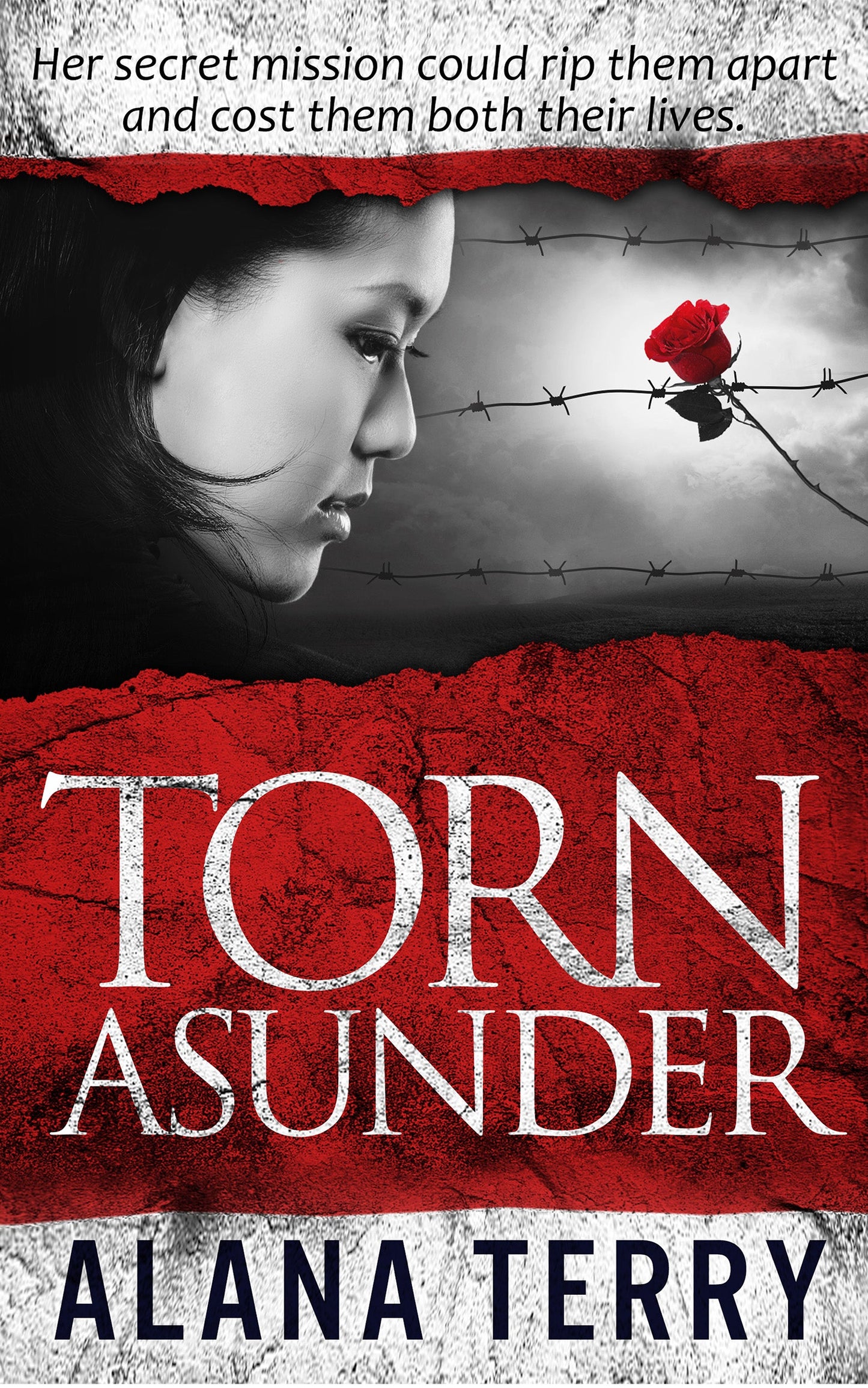 Torn Asunder (audiobook)