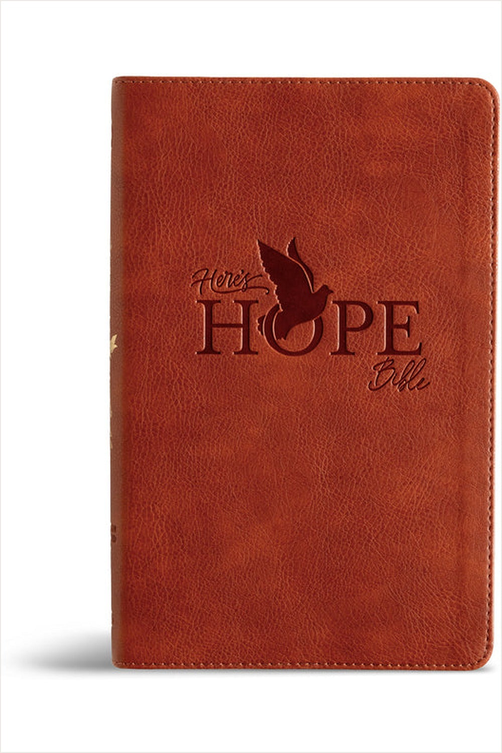 CSB Here's Hope Bible cover
