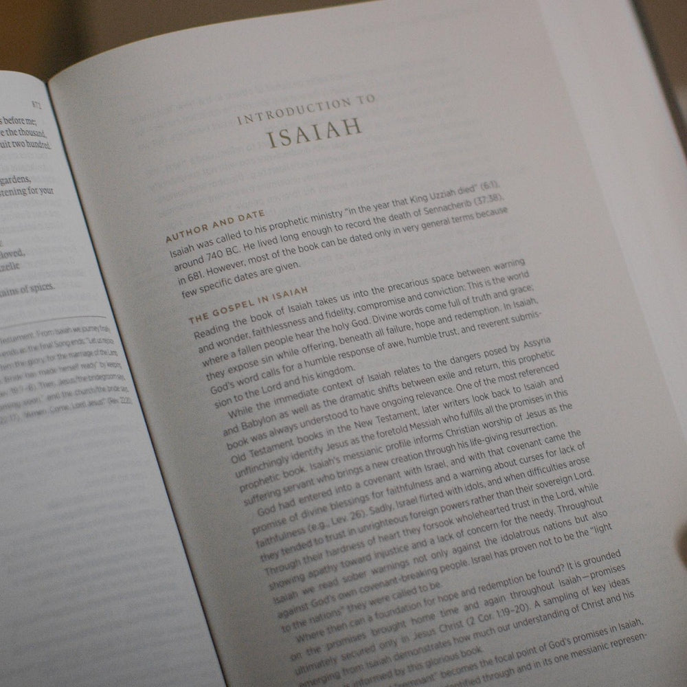 Isaiah book introduction in the ESV Applying the Gospel Study Bible for Men.