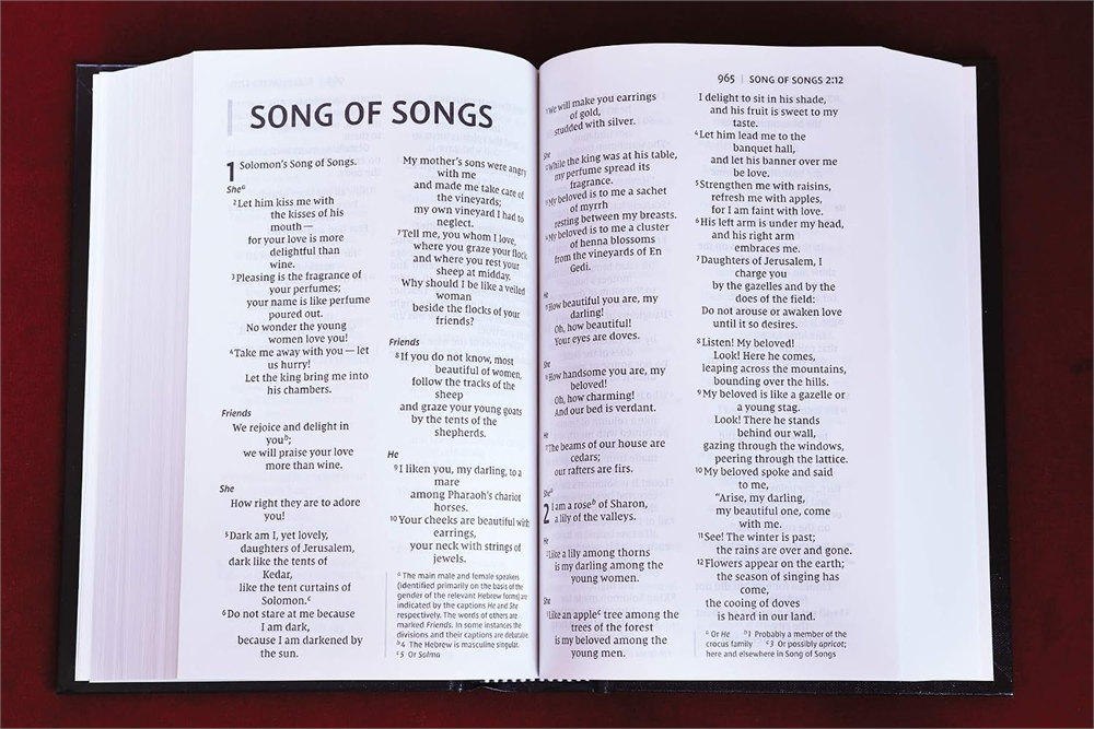 Open NIV Pew and Worship Bible, Large Print showing Song of Songs in double-column text.