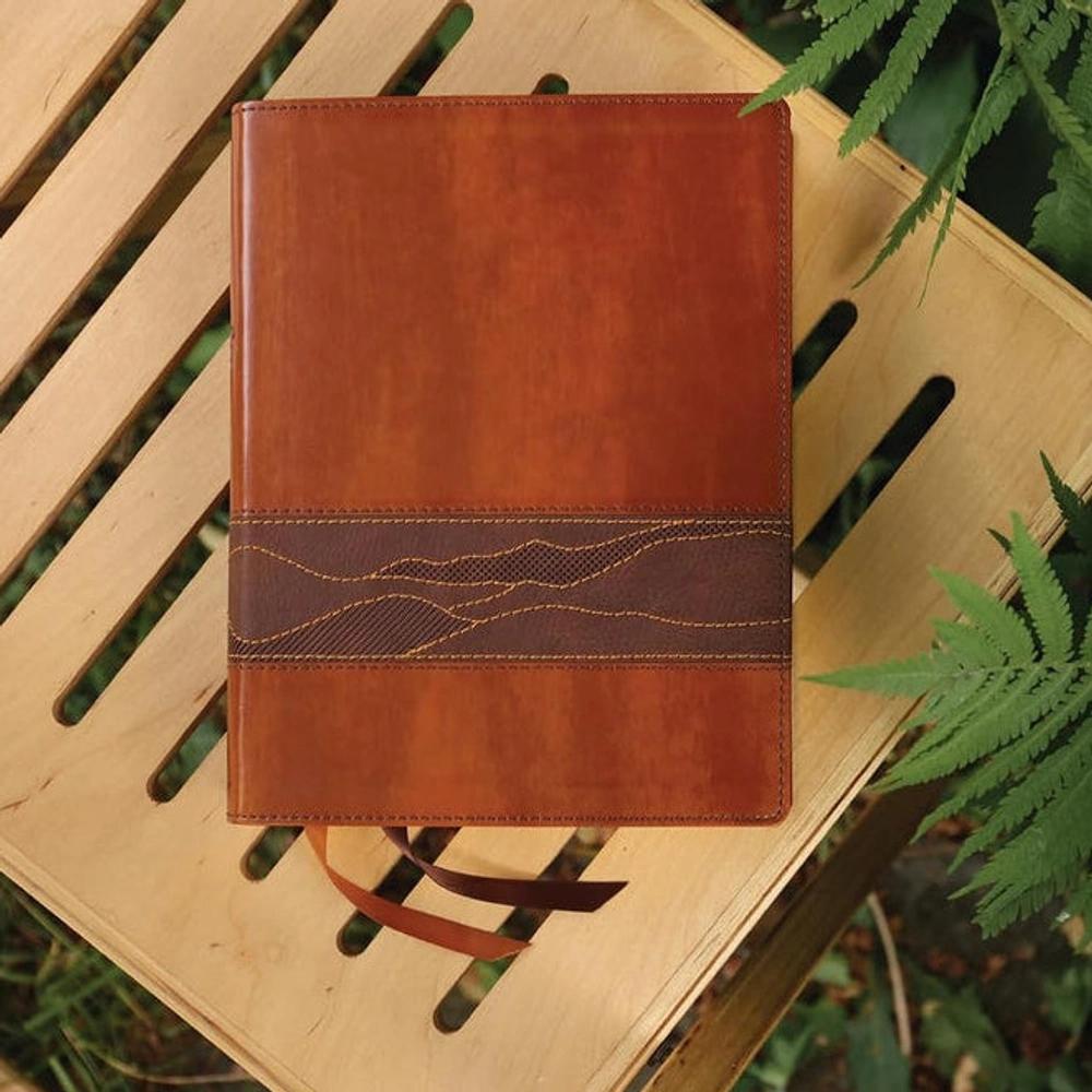 Brown Rooted NIV Bible for Men resting on a wooden chair among green ferns.