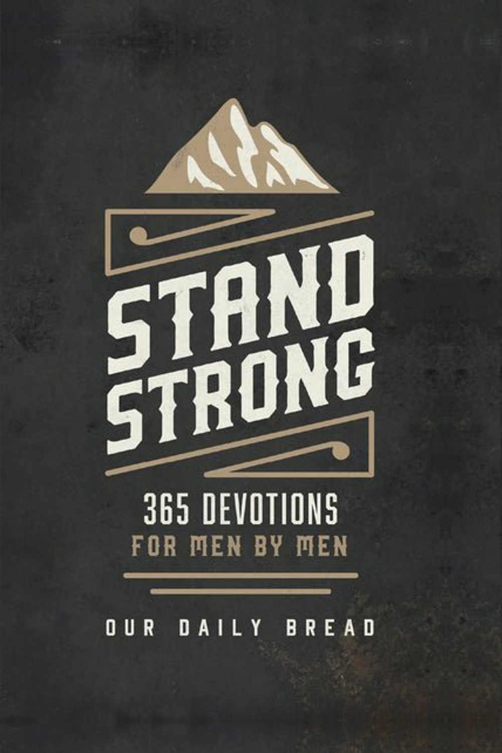Stand Strong: 365 Devotions for Men by Men - Christian Books Today