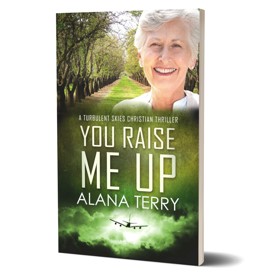 You Raise Me Up: Turbulent Skies #6 (paperback)
