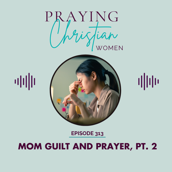 313 Mom Guilt and Prayer Part 2