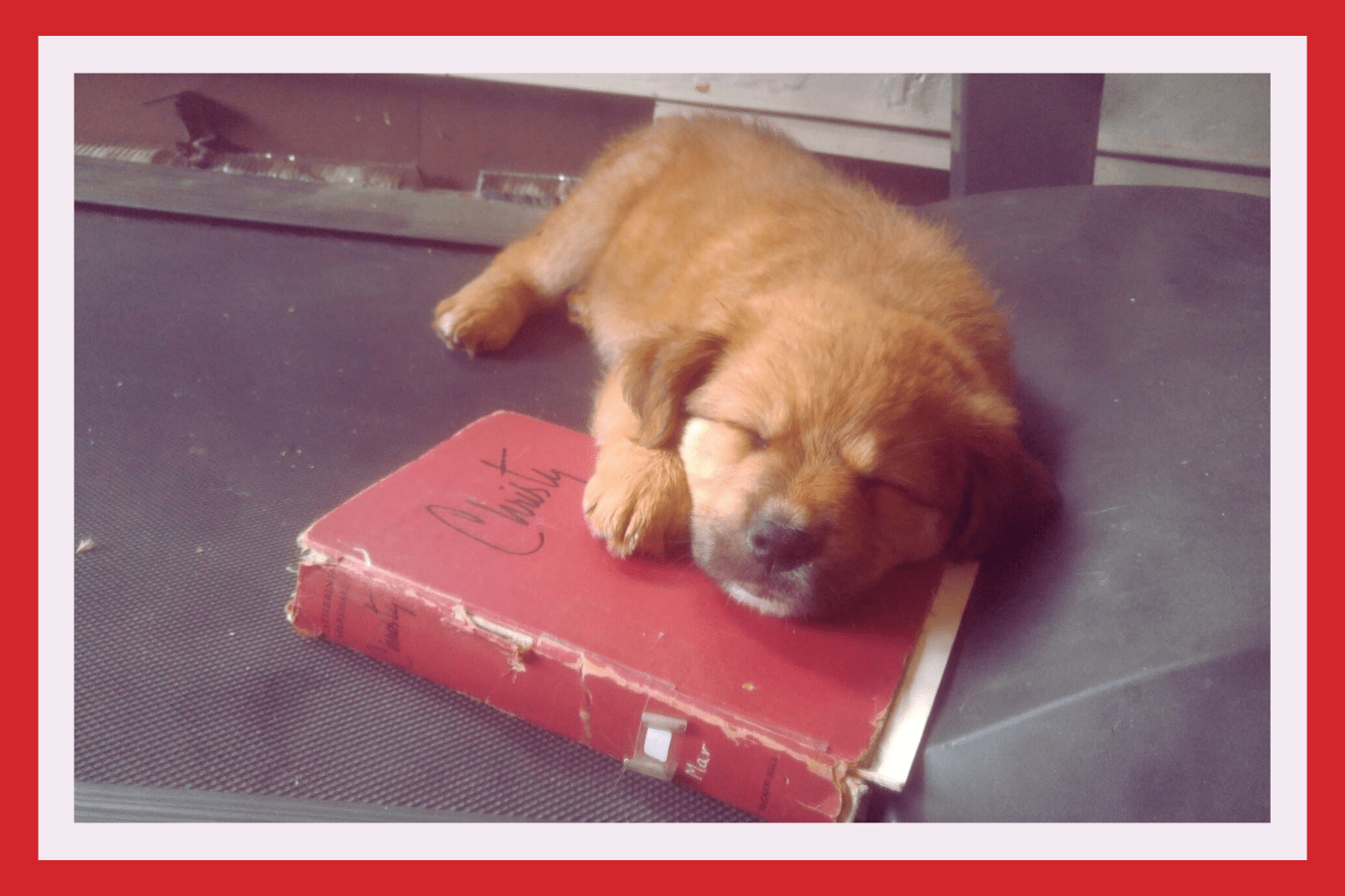 Christian Novels for Readers Who Love Christy - Christian Books Today