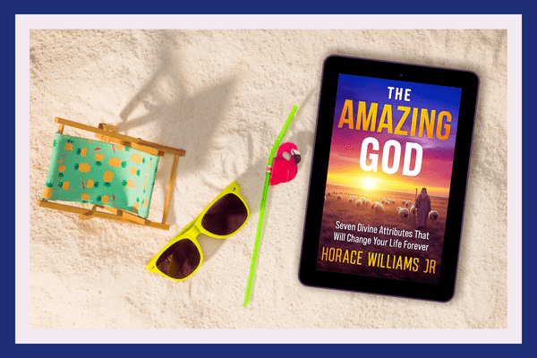 The Amazing God: Seven Divine Attributes that will Change Your Life Forever by Horace Williams Jr.