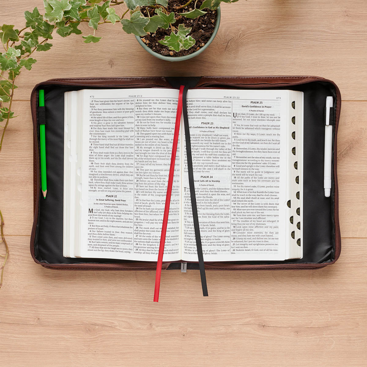 Honey-brown lion Bible cover open with a Bible shown to illustrate fit