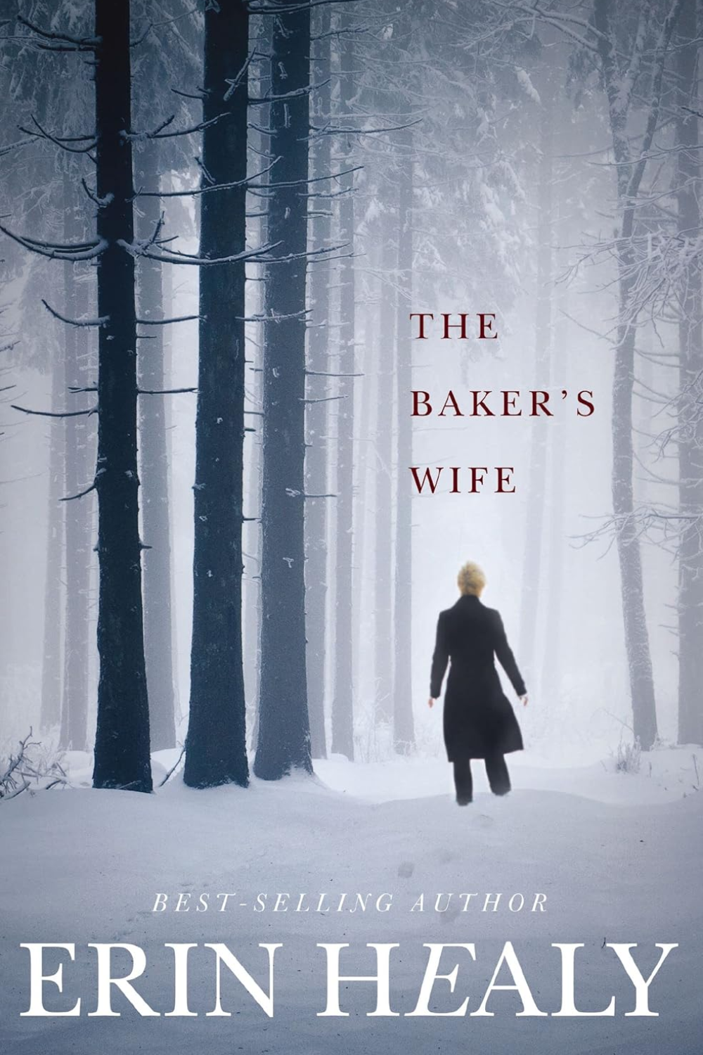 Baker's Wife by Erin Healy