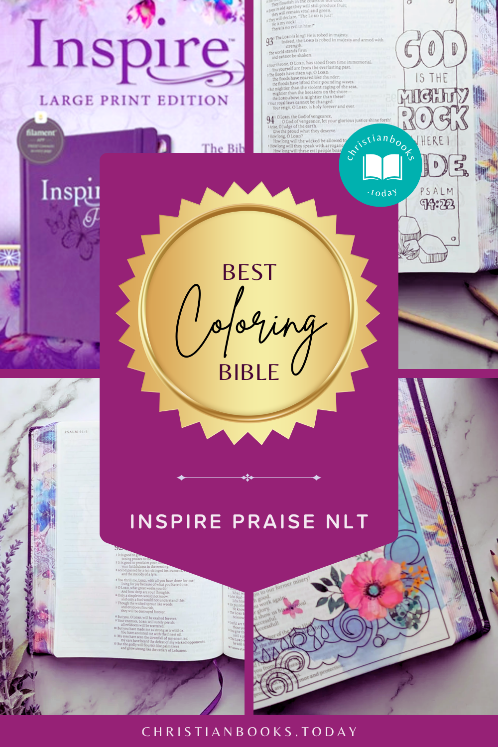 NLT Inspire Praise Bible for Coloring and Creative Journaling (Large Print)