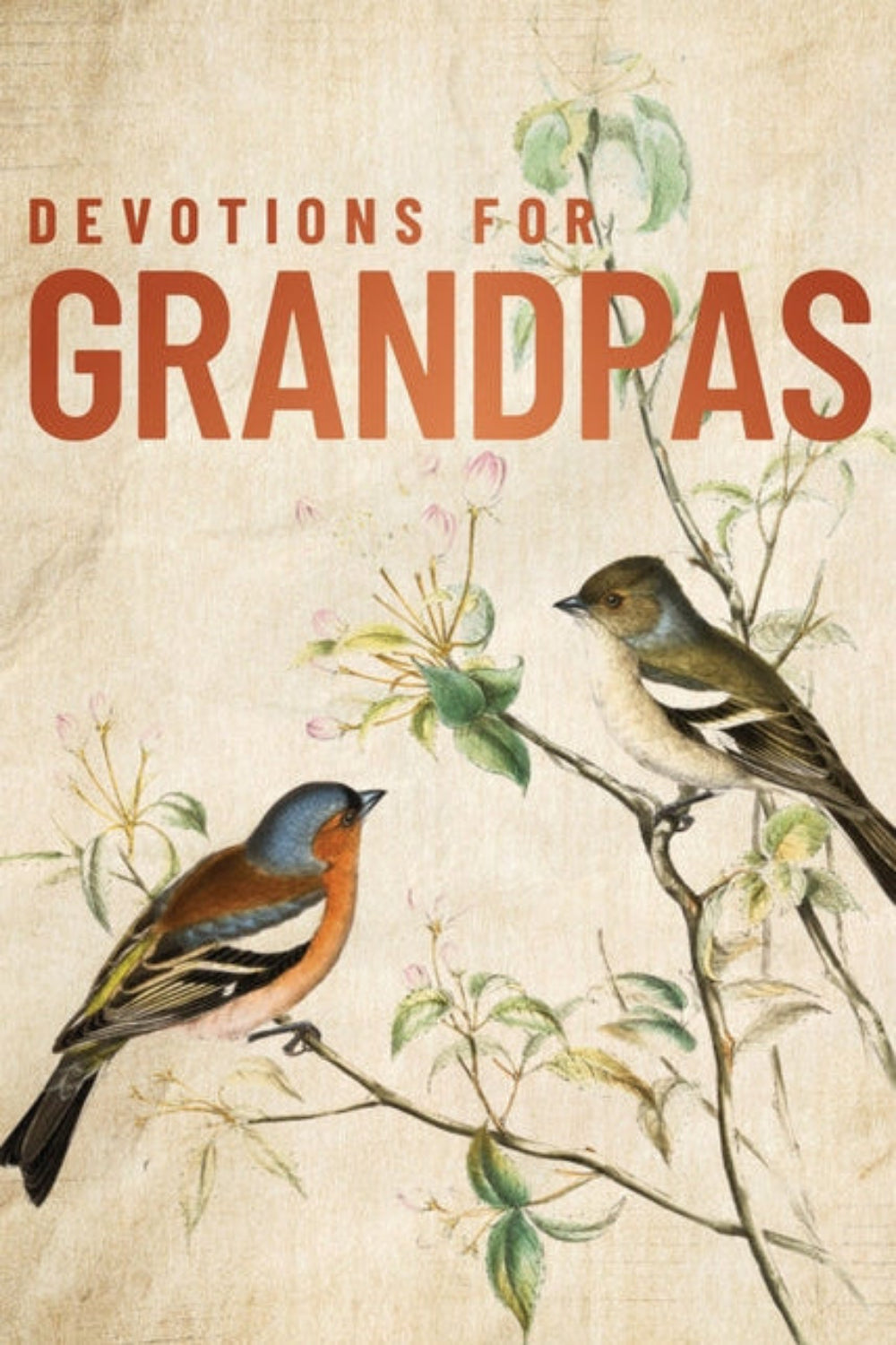 Devotions for Grandpas: A 40-Day Bible Devotional to Encourage and Inspire Grandfathers Zondervan
