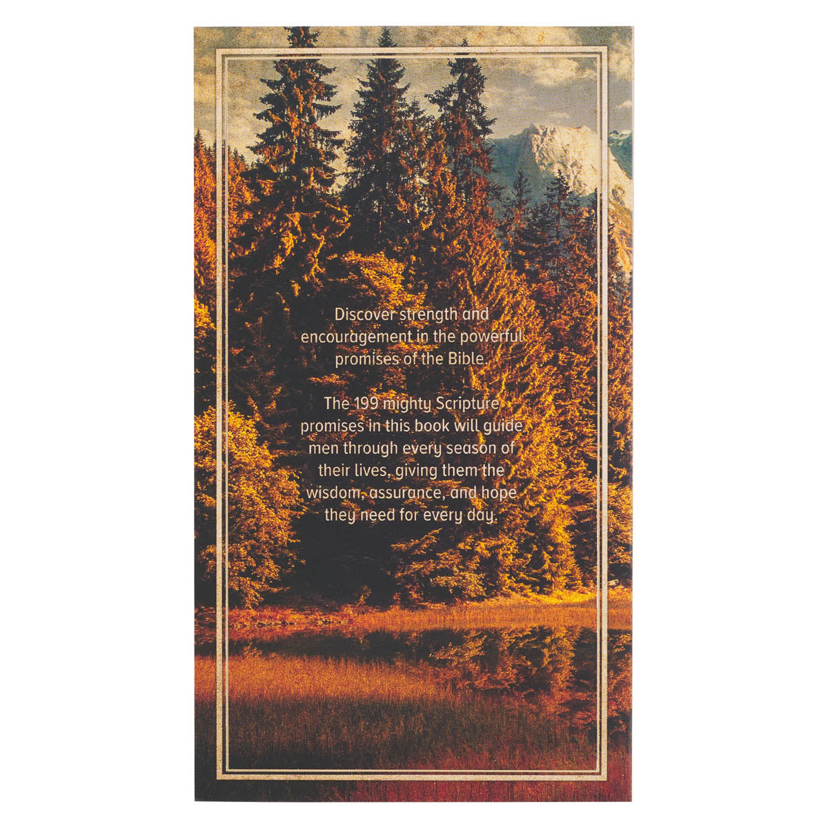 199 Favorite Bible Verses for Men - back view