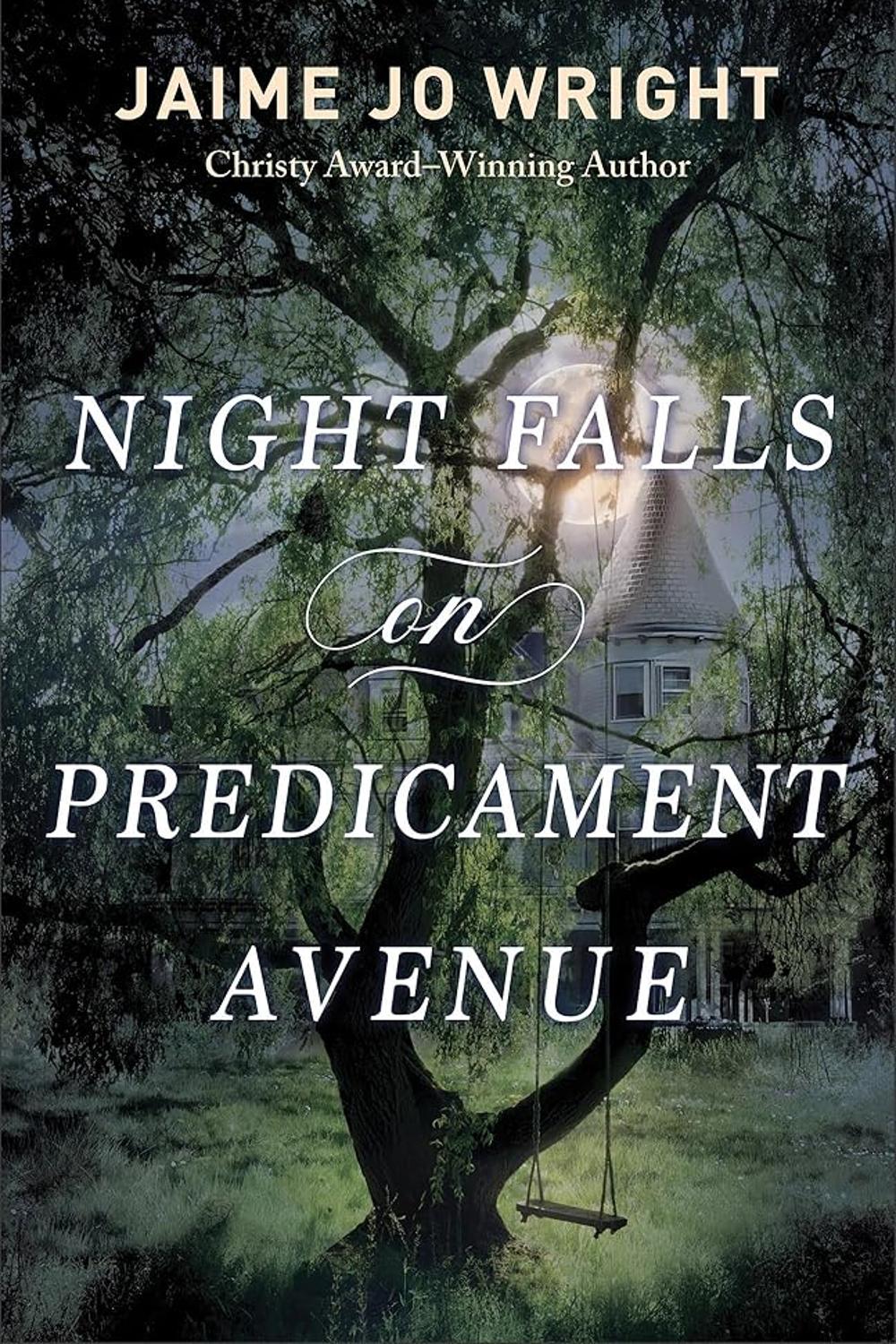 Night Falls on Predicament Avenue Jaime Jo Wright