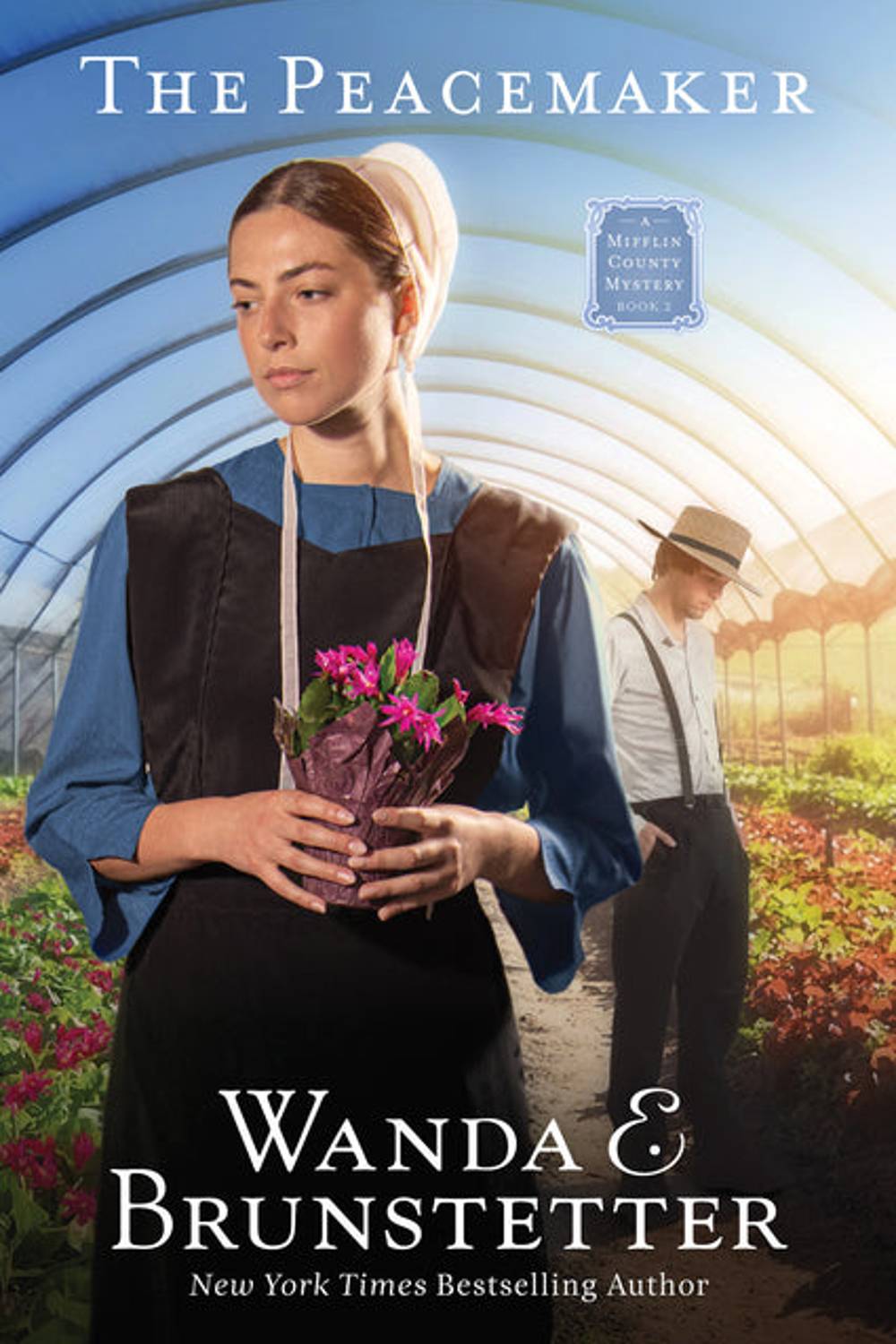 The Peacemaker Wanda E. Brunstetter