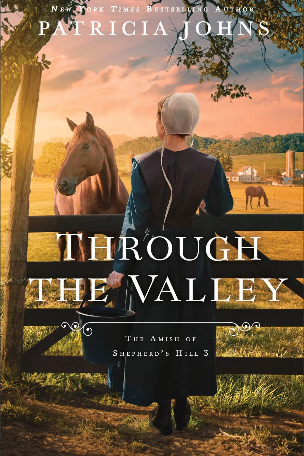 Through the Valley by Patricia Johns, paperback front cover