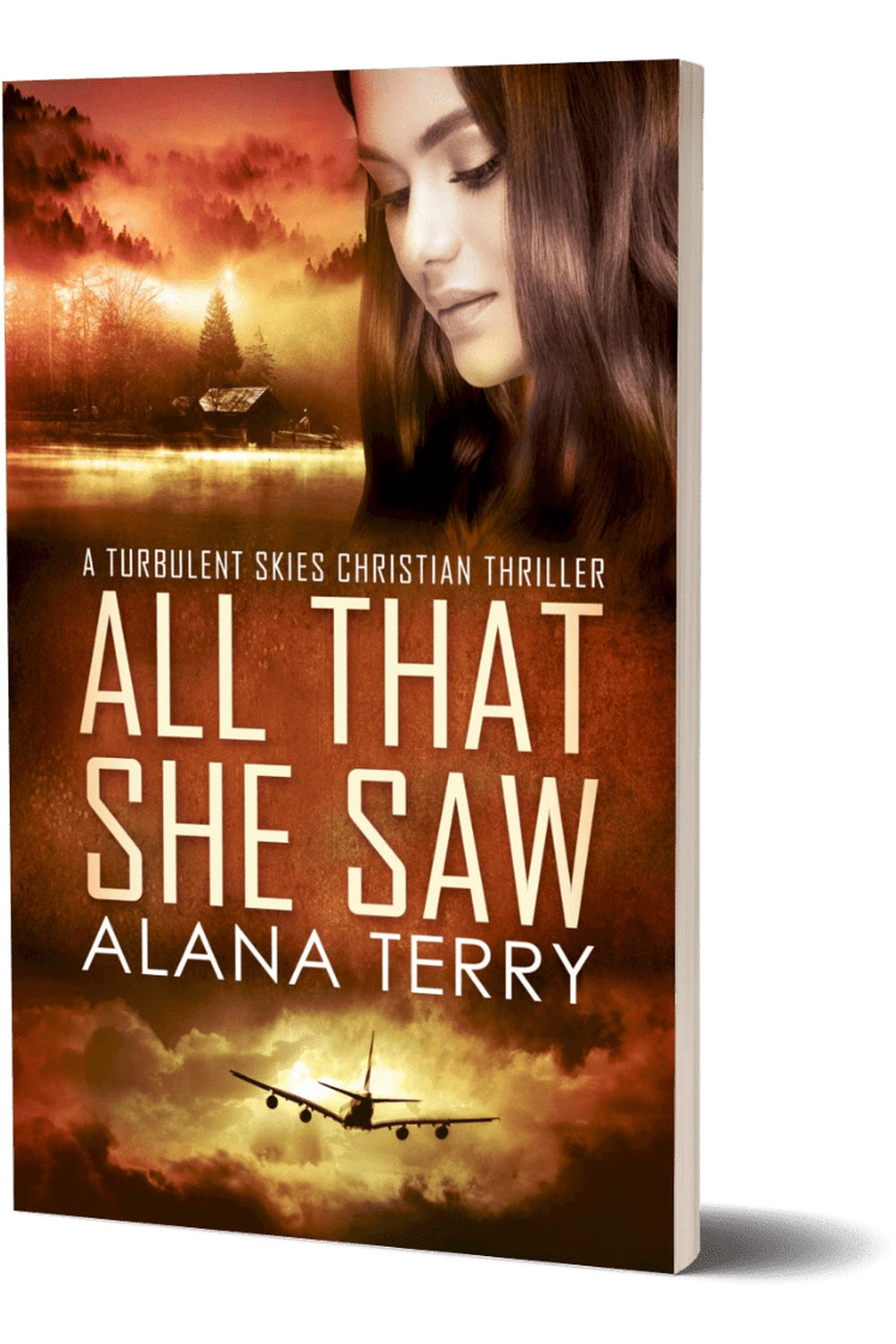 All That She Saw: Turbulent Skies #4 by Alana Terry, book cover