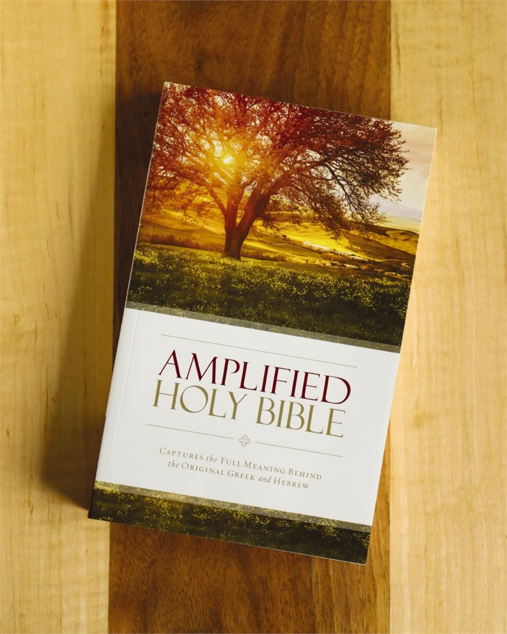 Amplified Holy Bible with its tree-and-sunlight cover resting on a wooden surface.