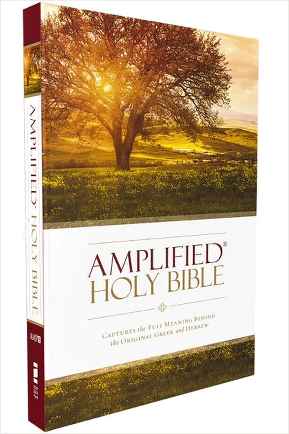 Amplified Bible cover