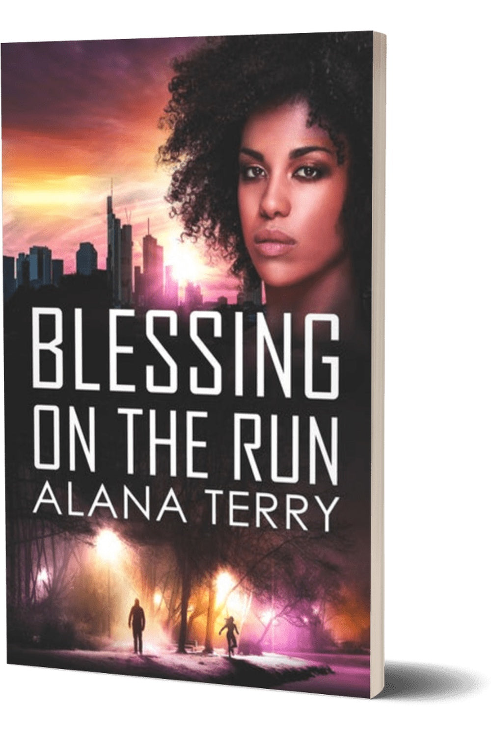 Blessing on the Run by Alana Terry, book cover