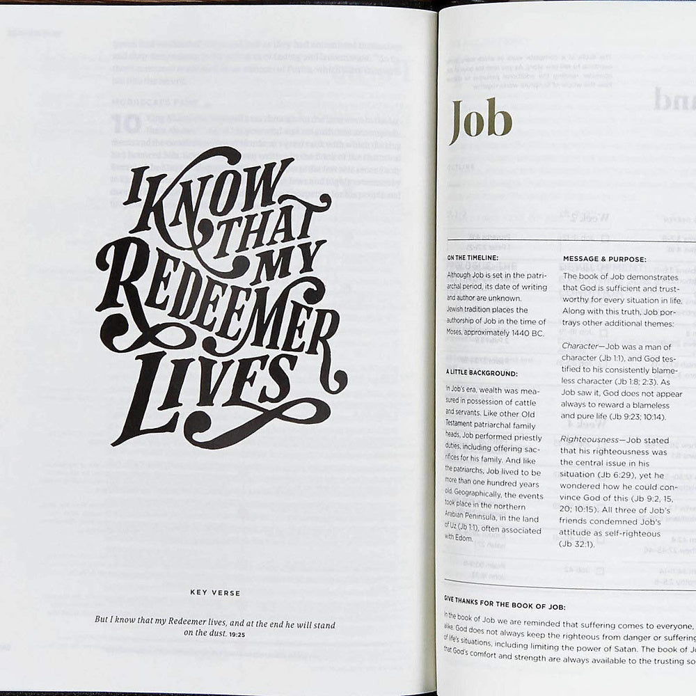 Job introduction in the CSB He Reads Truth Bible with a hand-lettered key verse.