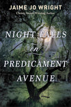 Night Falls on Predicament Avenue - Christian Books Today