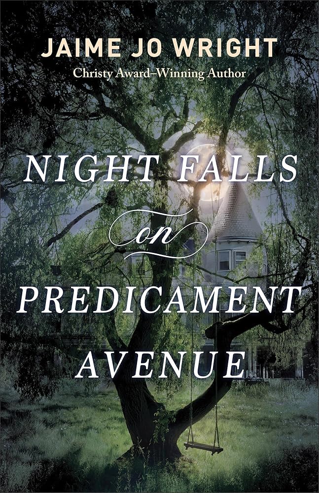 Night Falls on Predicament Avenue - Christian Books Today