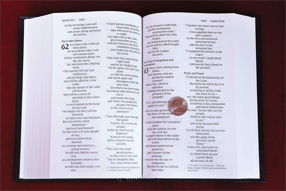 Open NIV Pew and Worship Bible, Large Print with a coin beside the double-column text to show print size.
