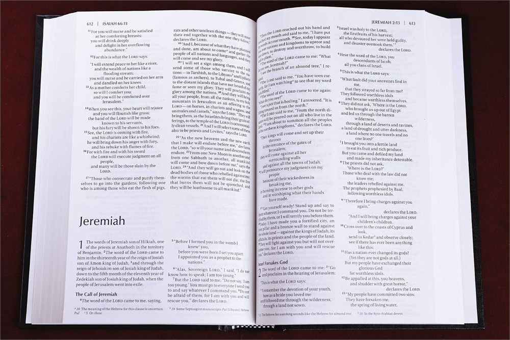 Open NIV Value Pew and Worship Bible showing Jeremiah in a double-column layout.