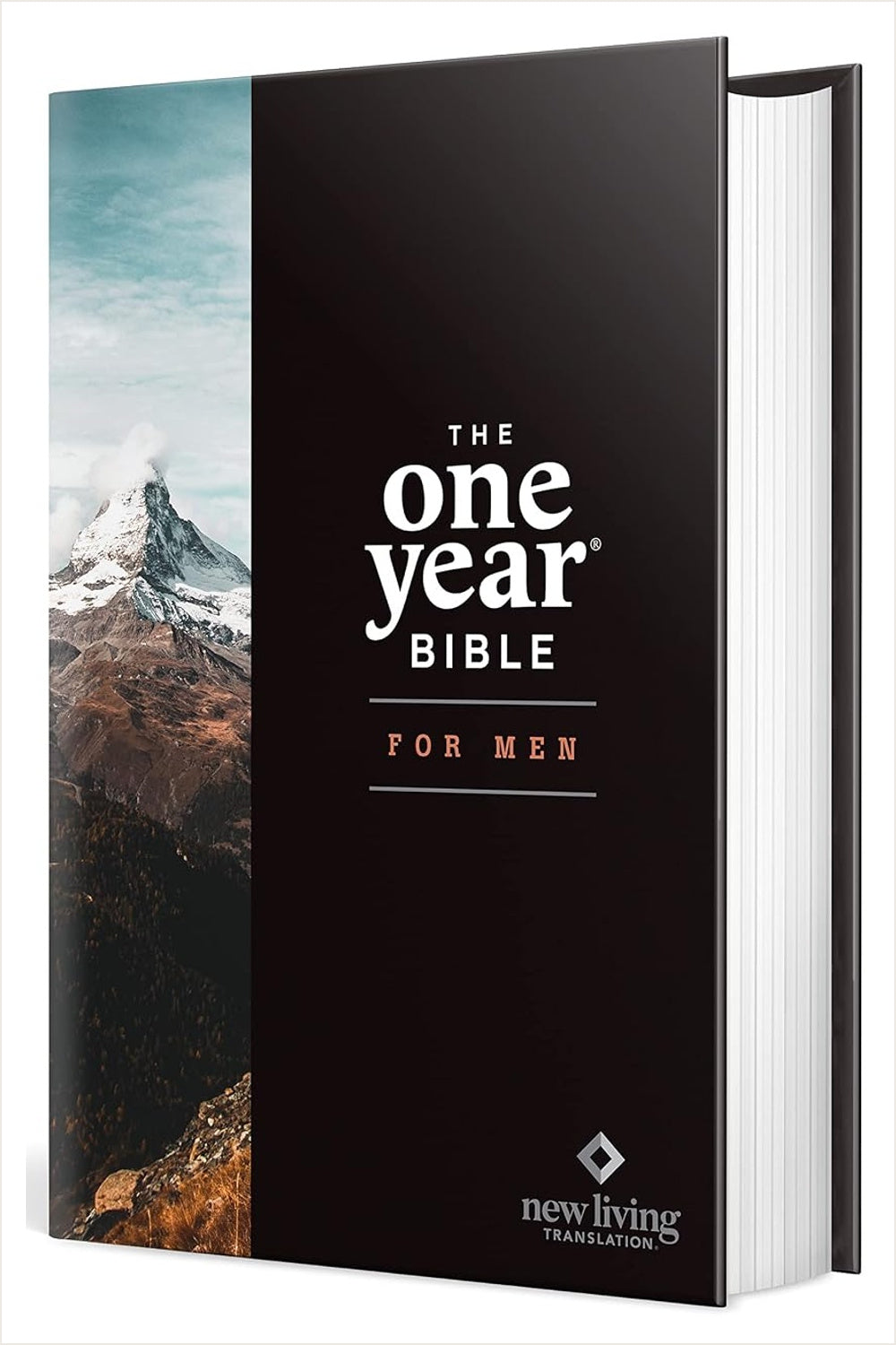 NLT The One Year Bible for Men in a black hardcover with a mountain landscape panel.