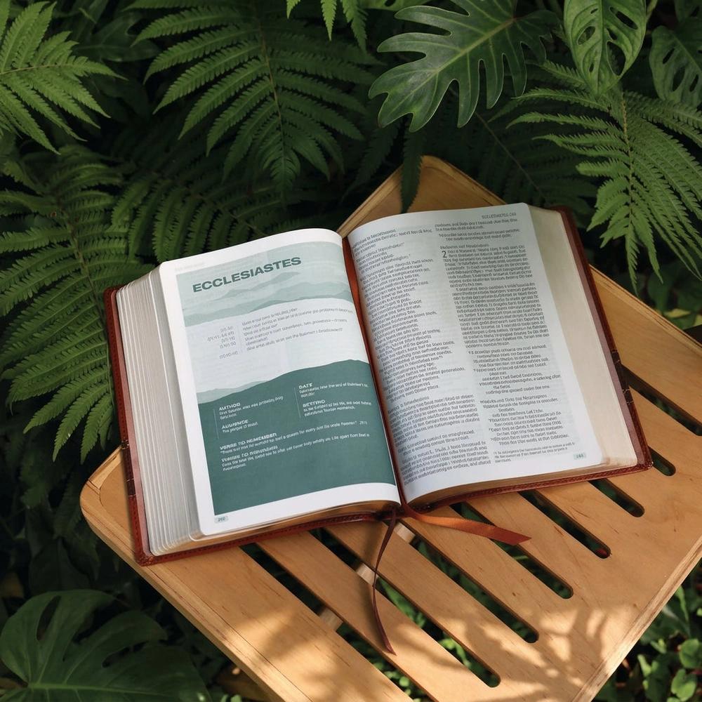 Open Rooted NIV Bible for Men showing the Ecclesiastes book introduction and Scripture text.