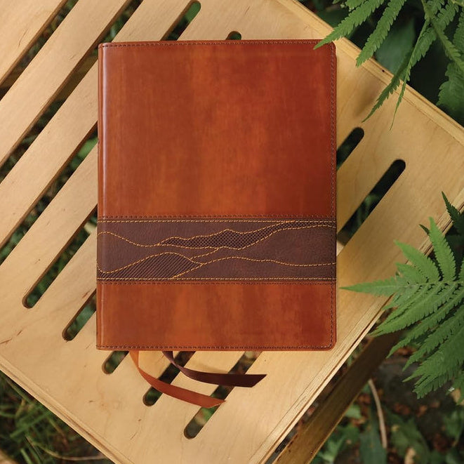 Brown Rooted NIV Bible for Men resting on a wooden chair among green ferns.