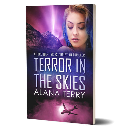 Terror In The Skies (paperback)
