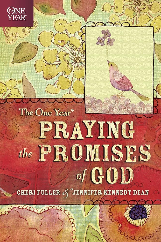 The One Year Praying the Promises of God - Christian Books Today