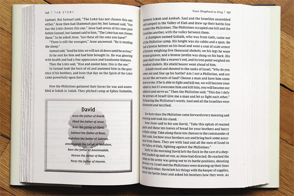Open pages of The Story, NIV showing the narrative text and a section about David.