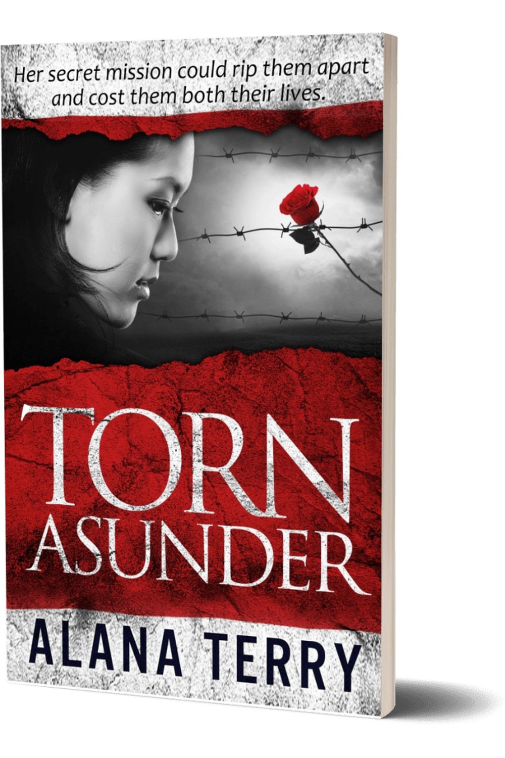 Torn Asunder by Alana Terry, book cover