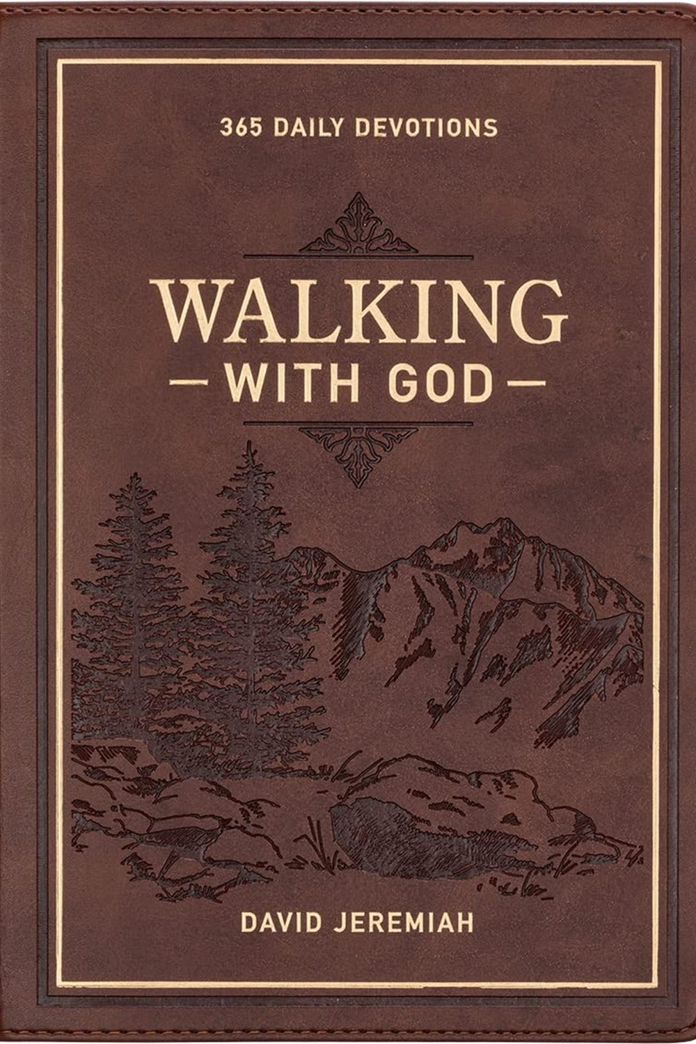 Walking with God: 365 Daily Devotions by David Jeremiah, brown cover with mountain artwork.