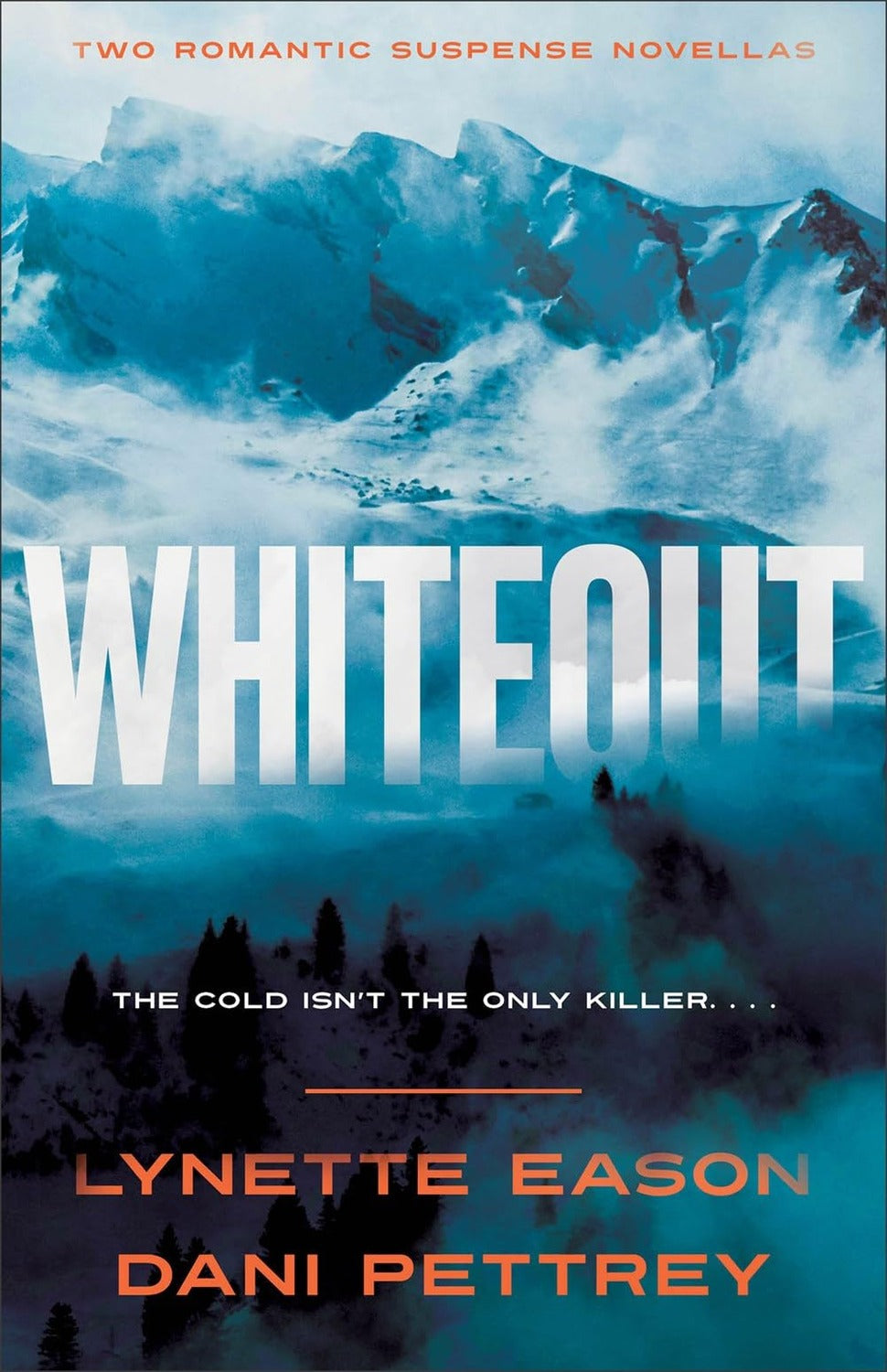 Whiteout: Two Romantic Suspense Novellas Lynette Eason, Dani Pettrey